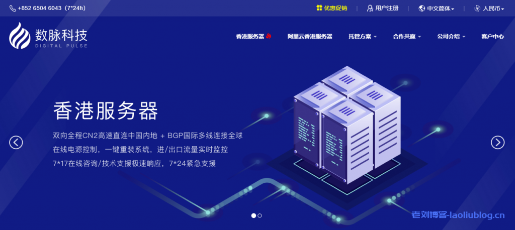 数脉科技:香港独立服务器月付199元,30M带宽不限流量,CN2+BGP线路