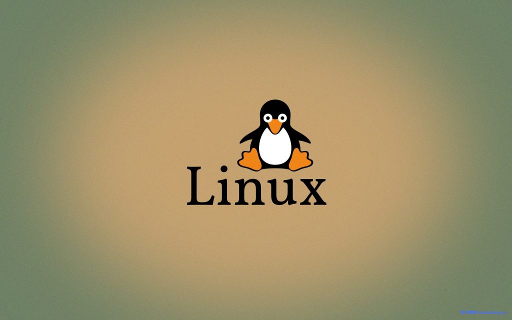 Linux服务器VPS的Windows DD包详细的制作教程